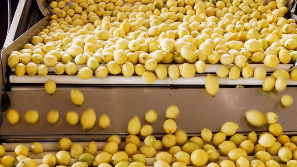 Ventura Pacific Lemons
