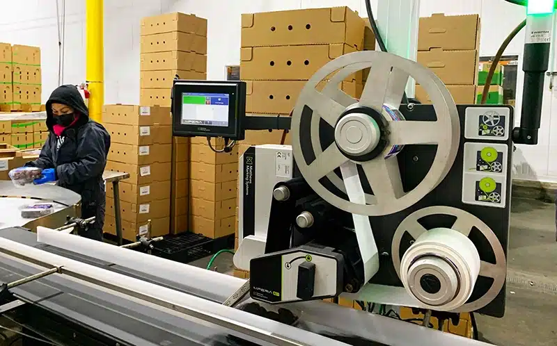Der Etikettierer der A-Serie, der im Fördersystem von 4Earth Farms zum Einsatz kommt, optimiert die Etikettierung von Obst und Gemüse, erfüllt die Anforderungen an Lösungen für verpackte Obst- und Gemüseprodukte und hält die Vorschriften zur Etikettierung von Obst und Gemüse ein.