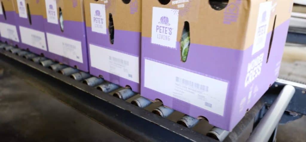Pete’s Living Greens nutzt bei seinen Verpackungslösungen für Obst und Gemüse eine Produktionslinie, die die erforderlichen Kennzeichnungsvorschriften für Obst und Gemüse erfüllt. Kennzeichnung von Obst und Gemüse, Verpackungslösungen für Obst und Gemüse, Kennzeichnungsvorschriften für Obst und Gemüse.