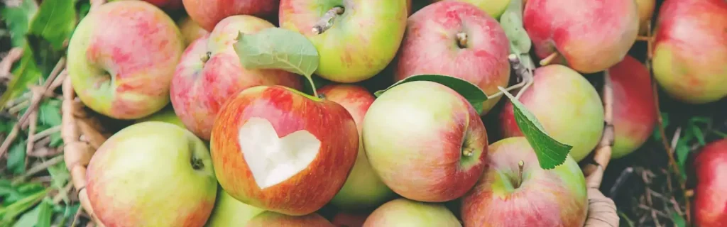 Rückblick auf die „Global Produce & Floral Show“