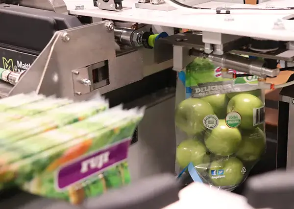 In Säcke verpackte Äpfel auf einer automatisierten Verpackungslinie