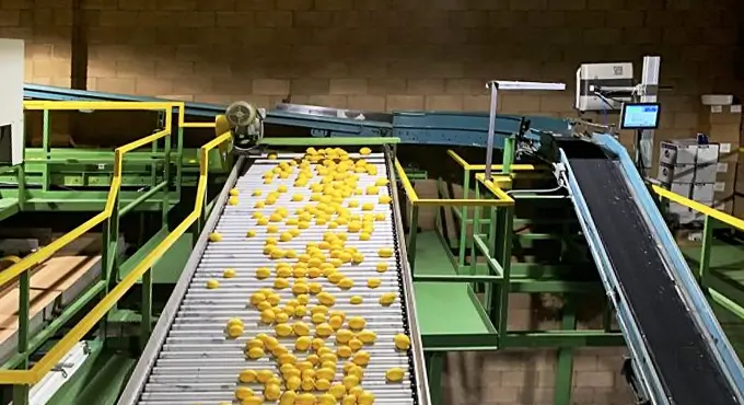 30 % Produktionssteigerung bei führendem Zitrusfrüchteanbauer